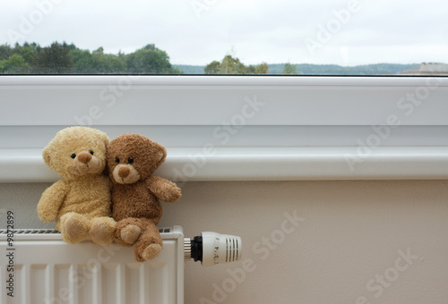 Photo: Two teddy bears on top of the heater or thermoregulator. Two teddy bears on top of the heater or thermoregulator.