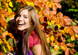 autumn beauty 20