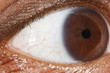 Horizontal image of close up of a human eye Horizontal image of close up of a human eye