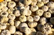 Small Pumpkins