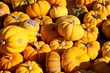 Small Pumpkins