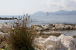 Seaside