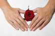 Beautiful woman hands Beautiful woman hands