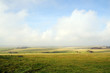 Countryside in Sussex