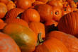 Bunch of pumpkins on a farmers market