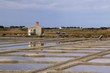 Marais salant