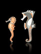 Handcrafted Couple of Seahorses Handcrafted Couple of Seahorses