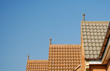 House Roofs
