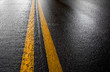 beautiful wet road in early morning light beautiful wet road in early morning light