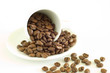 White coffee cup and coffee beans on a light background