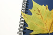 Foto: Spiral Notebook And Leaf Spiral Notebook And Leaf