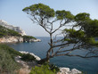 calanque de sormiou