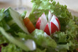 Assiette radis salade crudités 6900