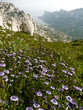 calanque de sormiou