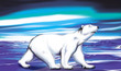 Polar Bear enjoys northern lights