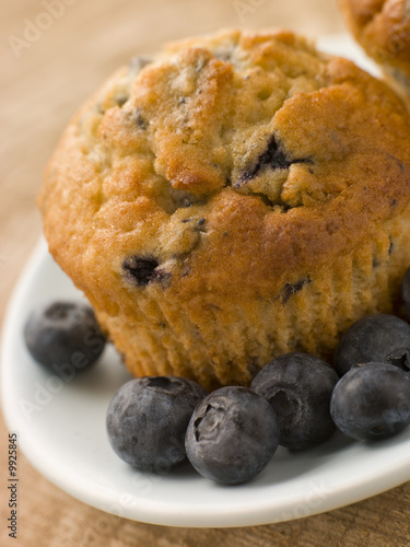 Photo: Blueberry Muffin On A Plate With Blueberries Blueberry Muffin On A Plate With Blueberries