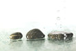 isolated wet zen stones with splashing  water drops