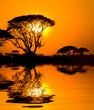 african sunset with reflection, kenya african sunset with reflection, kenya