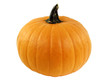 Perfect pumpkin isolated on a white background Perfect pumpkin isolated on a white background