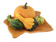 An arrangement of a pumpkin and gourds isolated on white An arrangement of a pumpkin and gourds isolated on white