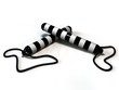 two Police sticks
