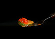 Italien Food