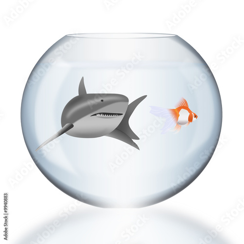 Illustration: Conceptual Image - Aggression/Fear/Vulnerability etc. Conceptual Image - Aggression/Fear/Vulnerability etc.