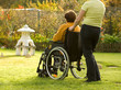 Disabled woman in a wheelchair Disabled woman in a wheelchair