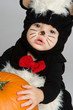 Cute Halloween Skunk
