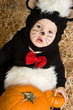 Baby Skunk