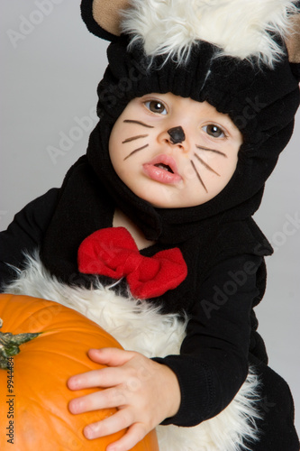 Photo: Cute Halloween Skunk Cute Halloween Skunk