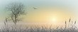 Misty Sunrise Landscape with Reeds