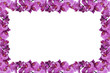 flower frame made from orchid on white background