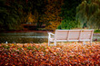 park im herbst