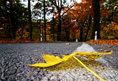 herbststrasse herbststrasse