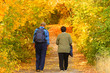 Elderly pair goes for a walk in the autumnal park