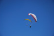 fliegen