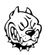 Bad dog