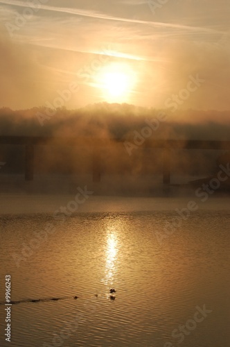 Foto: Sonnenaufgang im Herbst bei Nebel Sonnenaufgang im Herbst bei Nebel