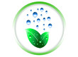 Green evolution