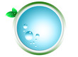 Green evolution