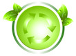Green evolution