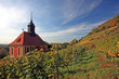 weinberkirche in Pillnitz
