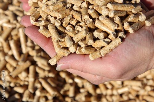 Foto: Holzpellets1 Holzpellets1