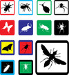 Set buttons. Insects