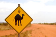 Strassenschild Vorsicht Kamel Strassenschild Vorsicht Kamel