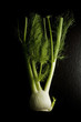 Fennel on Black