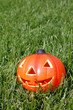 plastic pumpkin on grass