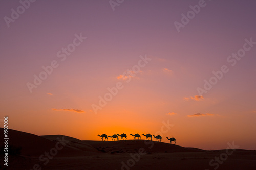 Foto: Kamelkarawane bei Sonnenuntergang in der Wüste Kamelkarawane bei Sonnenuntergang in der Wüste