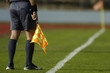 referee